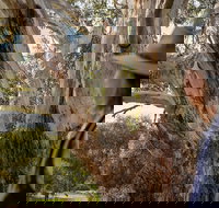 NEW TOUR - Kangaroo Island Road to Recovery Tour 1 Day/1 Night - Kingaroy Accommodation