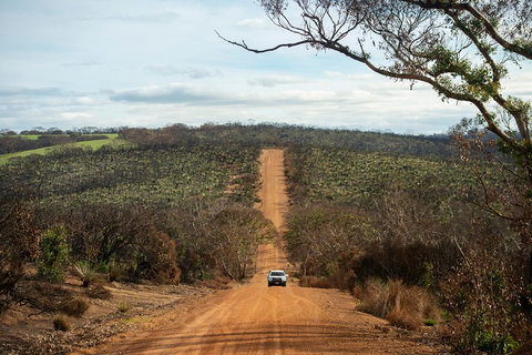 NEW TOUR - Kangaroo Island Road To Recovery Tour (1 Day/1 Night) - Kingaroy Accommodation 2