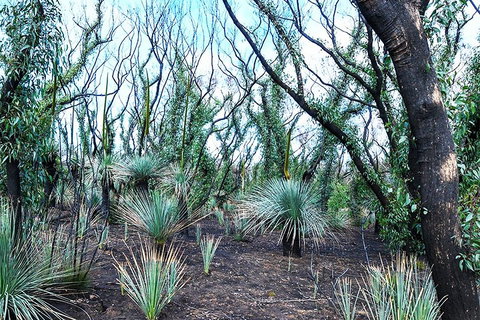 NEW TOUR - Kangaroo Island Road To Recovery Tour (1 Day/1 Night) - Kingaroy Accommodation 3