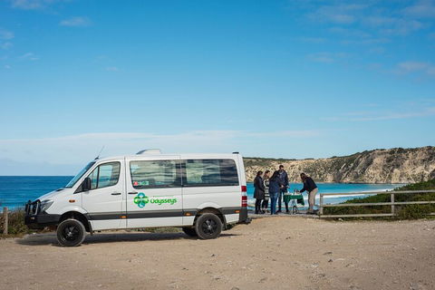 Full Day Flinders Chase Tour From Kangaroo Island - Kingaroy Accommodation 3