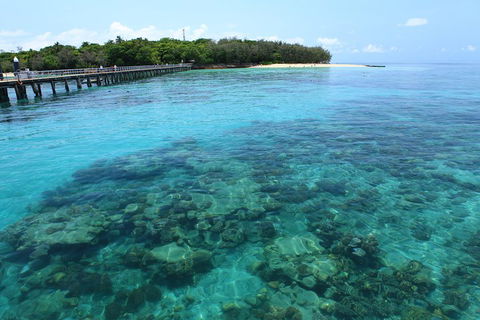 Cairns City Sights And Surrounds Tour - Kingaroy Accommodation 1