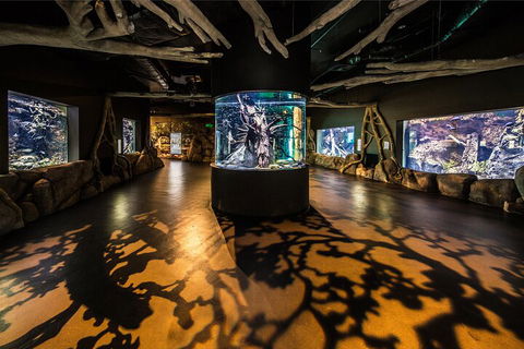 Cairns Aquarium Tour By Twilight With Drink And Appetiser - Kingaroy Accommodation 1