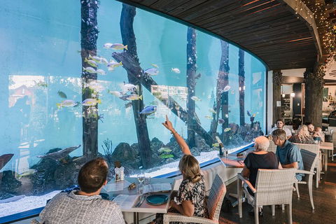 Cairns Aquarium Tour By Twilight With Drink And Appetiser - Kingaroy Accommodation 3