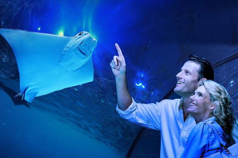 Cairns Aquarium Tour By Twilight With Drink And Appetiser - Kingaroy Accommodation 4