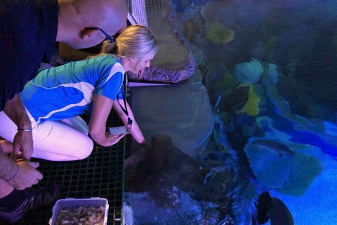 Cairns Aquarium Marine Life Encounter Ticket With 2-Course Lunch - Kingaroy Accommodation 2