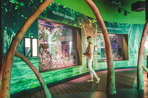 Cairns Aquarium Marine Life Encounter Ticket With 2-Course Lunch - Kingaroy Accommodation 3