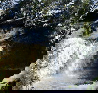 Cradle Mountain Day Tour from Launceston Including Lunch - Kingaroy Accommodation