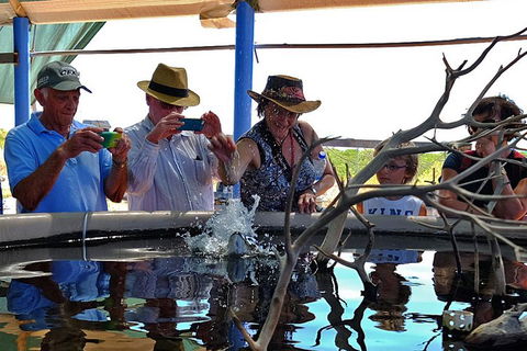 Cape Leveque 4WD Tour From Broome With Optional Return Flight - Kingaroy Accommodation 0