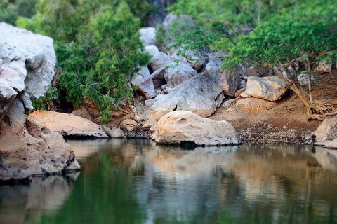 Windjana Gorge And Tunnel Creek 4WD Tour From Broome - Kingaroy Accommodation 5
