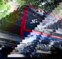 Blue Mountains Hop-on Hop-off Tour with Optional Scenic World Rides - Kingaroy Accommodation