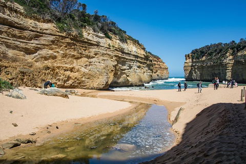 Great Ocean Road And 12 Apostles Day Trip From Melbourne - Kingaroy Accommodation 2