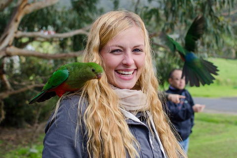 Great Ocean Road Reverse Itinerary With 12 Apostles From Melbourne - Kingaroy Accommodation 0