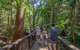 All-Inclusive Fraser Island Day Tour - thumb 2