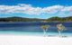 All-Inclusive Fraser Island Day Tour - thumb 3