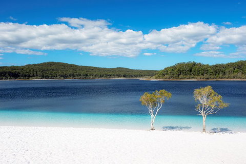 All-Inclusive Fraser Island Day Tour - Kingaroy Accommodation 3