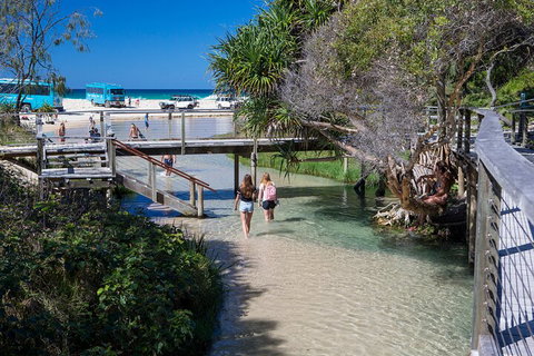All-Inclusive Fraser Island Day Tour - Kingaroy Accommodation 4