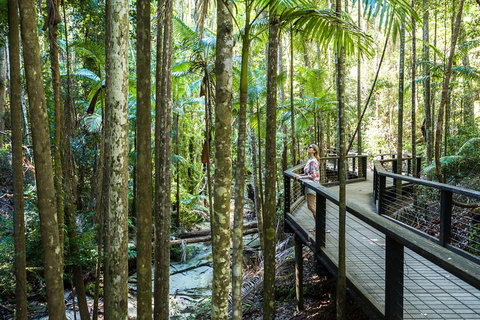 All-Inclusive Fraser Island Day Tour - Kingaroy Accommodation 5