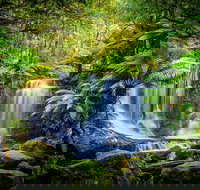 Day Tour in Mt. Field Mt. Wellington Bonorong Wildlife Sanctuary and Richmond - Kingaroy Accommodation