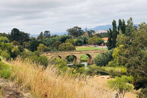 Day Tour In Mt. Field, Mt. Wellington, Bonorong Wildlife Sanctuary And Richmond - Kingaroy Accommodation 3