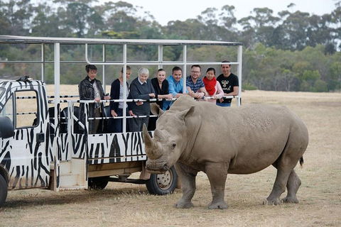 Off-Road Safari At Werribee Open Range Zoo - Kingaroy Accommodation 0