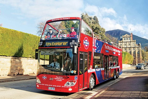 Hobart Hop-On Hop-Off Bus & Kunanyi/Mt Wellington Tour - Kingaroy Accommodation 4