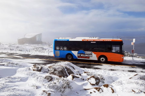 Hobart Hop-On Hop-Off Bus & Kunanyi/Mt Wellington Tour - Kingaroy Accommodation 5