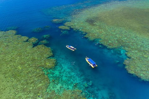 Great Barrier Reef Scenic Flight And Ocean Rafting Whitehaven Beach Day Trip - Kingaroy Accommodation 4