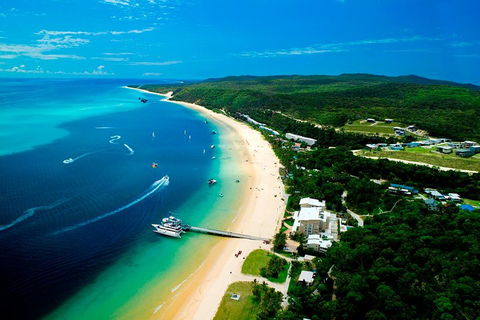 Tangalooma Island Resort Whale Watching Day Cruise - Kingaroy Accommodation 2