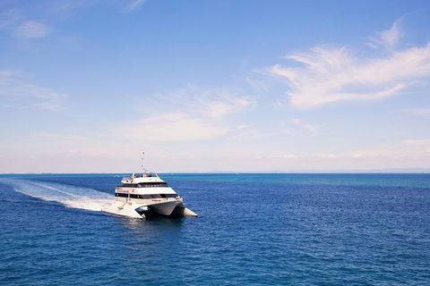 Tangalooma Island Resort Whale Watching Day Cruise - Kingaroy Accommodation 5