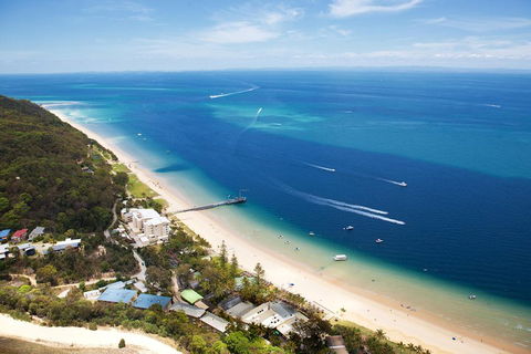 Tangalooma Island Resort Whale Watching Day Cruise With Dolphin Feeding - Kingaroy Accommodation 2