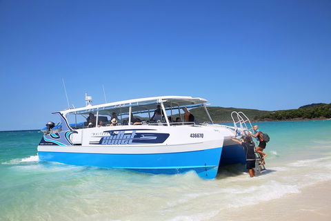 Whitsunday Bullet Day Trip - Whitehaven Beach And Snorkelling - Kingaroy Accommodation 3