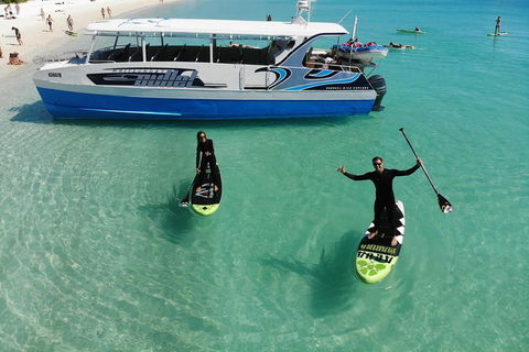 Whitsunday Bullet Day Trip - Whitehaven Beach And Snorkelling - Kingaroy Accommodation 4