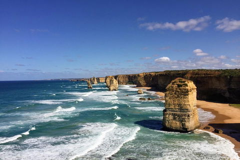 Great Ocean Road Reverse Itinerary PREMIUM Tour - Kingaroy Accommodation 2