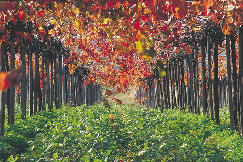 Margaret River Private Tour - Kingaroy Accommodation 0