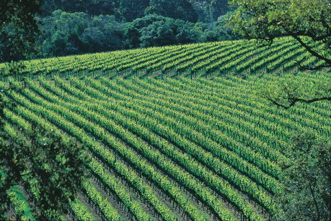 Margaret River Private Tour - Kingaroy Accommodation 4