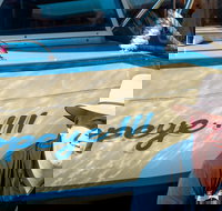 Torrens River Cruise in Adelaide - Kingaroy Accommodation