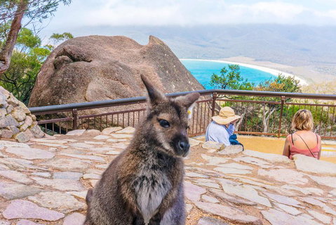 Wineglass Bay & Freycinet NP Full Day Tour From Hobart Via Richmond Village - Kingaroy Accommodation 0