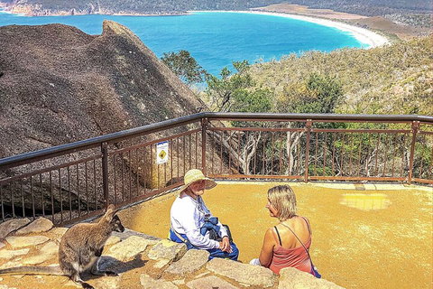 Wineglass Bay & Freycinet NP Full Day Tour From Hobart Via Richmond Village - Kingaroy Accommodation 1