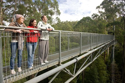 Adventure Sunset Three Day Great Ocean Road Tour - Kingaroy Accommodation 0
