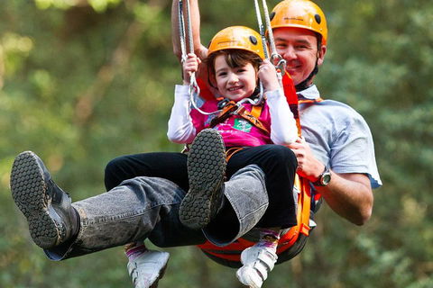 Adventure Sunset Three Day Great Ocean Road Tour - Kingaroy Accommodation 4