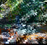 Aquaduck  Your choice of Gold Coast Rainforest Tour - Kingaroy Accommodation