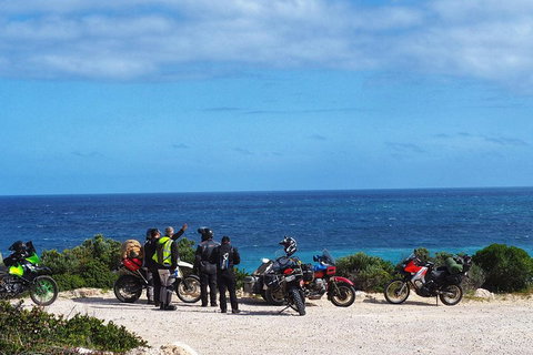 3 Days Flerieu Peninsula And Kangaroo Island Motorcycle Tour - Kingaroy Accommodation 3