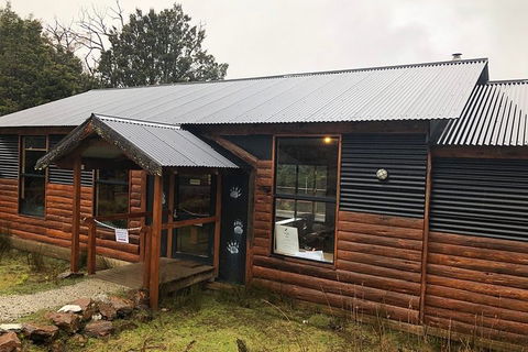 After Dark Tasmanian Devil Feeding Tour At Cradle Mountain - Kingaroy Accommodation 3