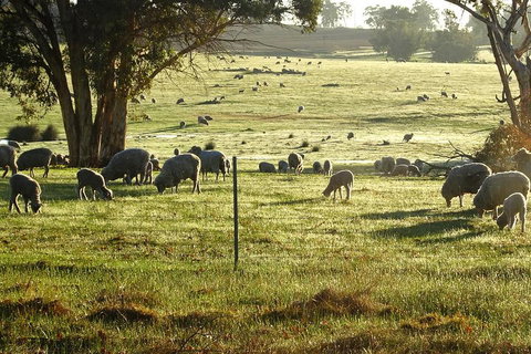 The Big Wave Rock (Private) Day Tour - Kingaroy Accommodation 1
