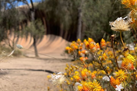 The Big Wave Rock (Private) Day Tour - Kingaroy Accommodation 3