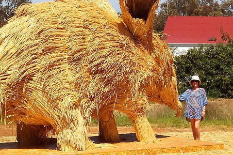 The Big Wave Rock (Private) Day Tour - Kingaroy Accommodation 5