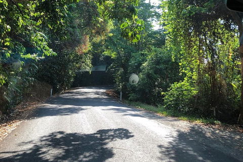 Cairns To Cooktown 4WD Tour - Kingaroy Accommodation 0