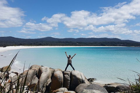 Tasmania 4 Day East Coast + Launceston - Kingaroy Accommodation 1
