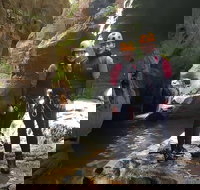 Blue Mountains Empress Canyon Adventure from Wentworth Falls - Kingaroy Accommodation