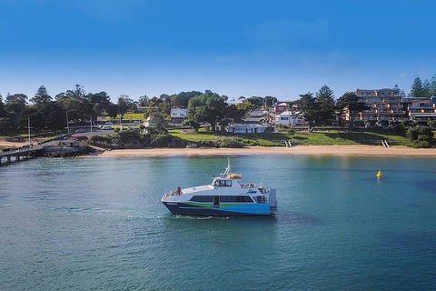 Phillip Island And French Island Wildlife Expedition - Kingaroy Accommodation 2